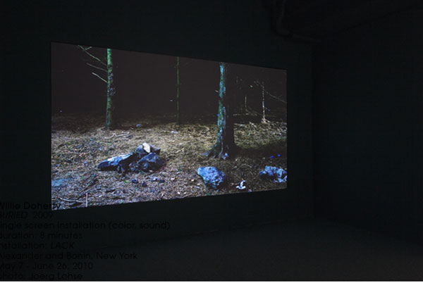 Willie Doherty: BURIED, 2009, single-screen installation (colour, sound), duration 8 minutes, installation shot, Alexander and Bonin; photo Joerg Lohse; courtesy Alexander and Bohn